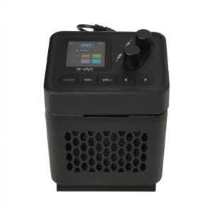 M-VAVE Pocket Combo Speaker